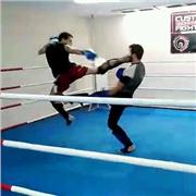 Entrenador Personal Artes Marciales
